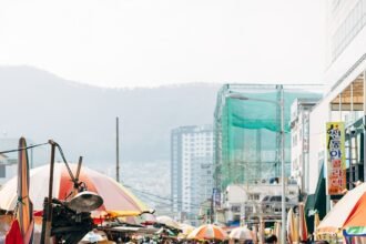 Data-Driven Insights: Trends Shaping the American Housing Market