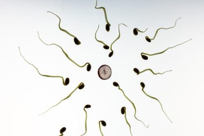 The Impact of Tourism on Island Development: Success Stories from Across the U.S.