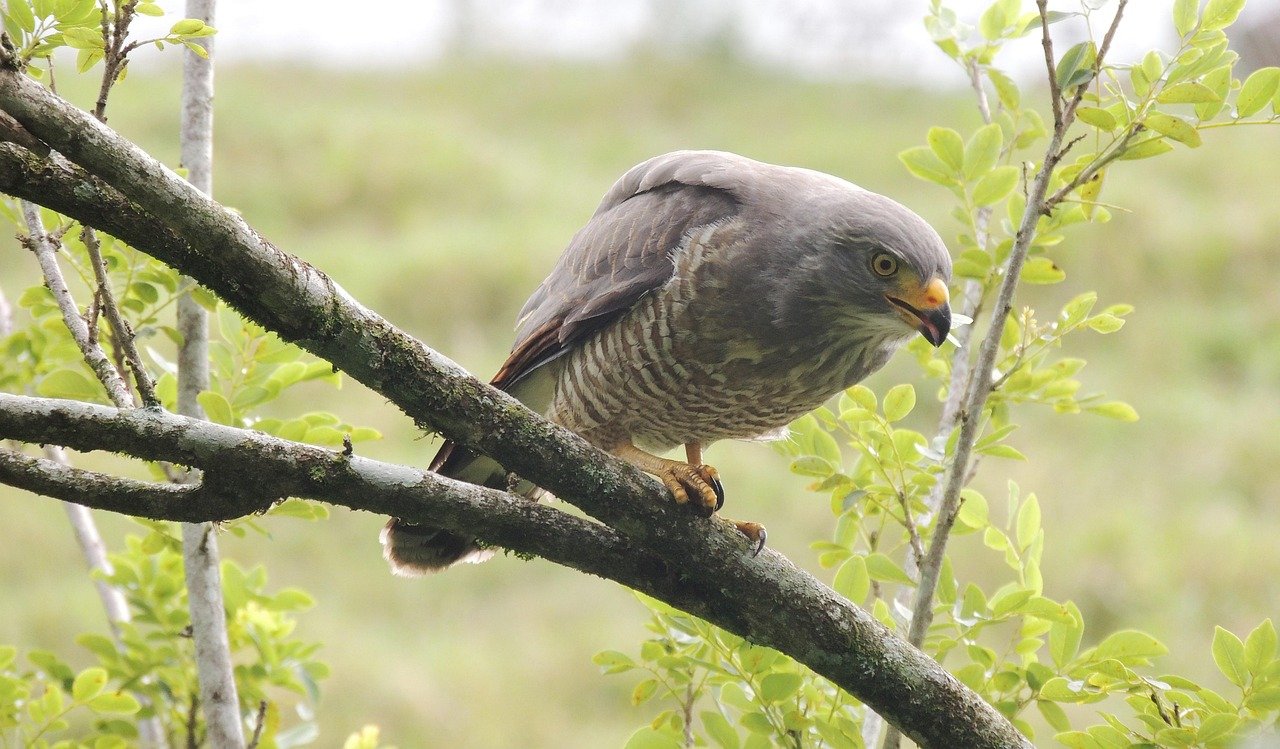 Resilience in the Industrial Sector: Lessons from Recent Economic Fluctuations