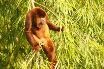 Innovations in Industrial Facility Designs for Enhanced Efficiency