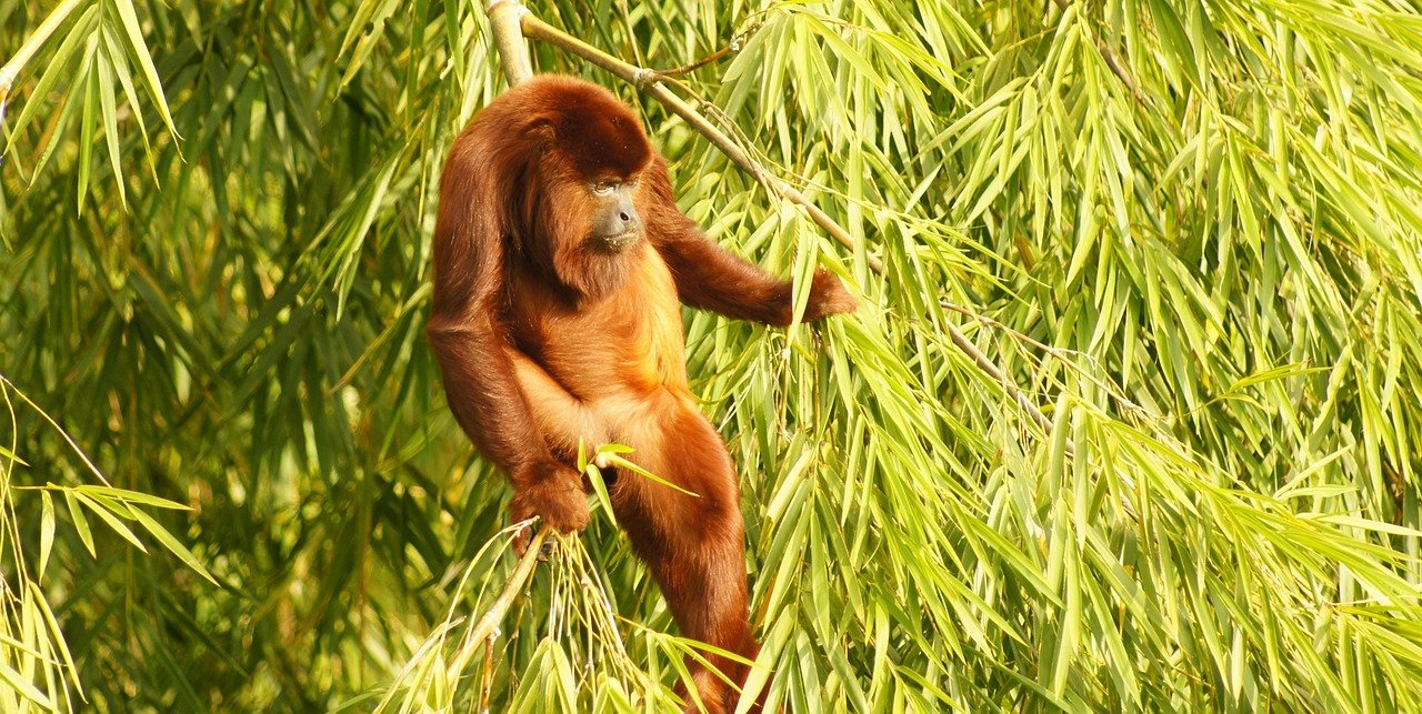 Innovations in Industrial Facility Designs for Enhanced Efficiency