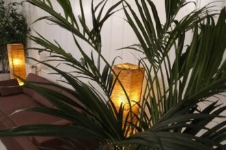 The Vital Role of Infrastructure in Industrial Development Success.