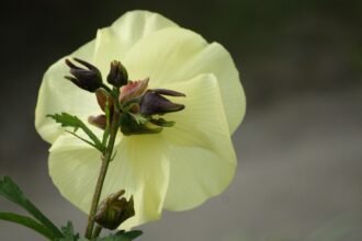 Economic Growth in the Southeast: Manufacturing Takes Center Stage