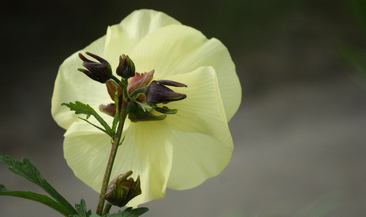 Economic Growth in the Southeast: Manufacturing Takes Center Stage