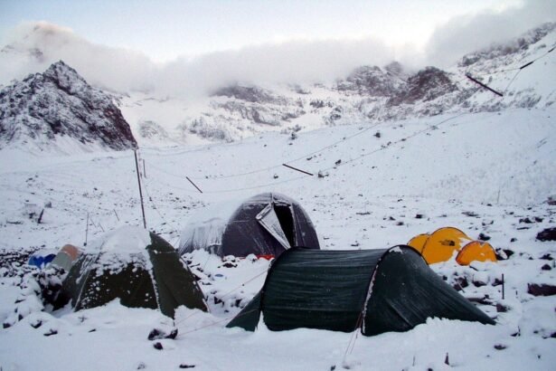 Predictive Insights: Anticipating Market Trends