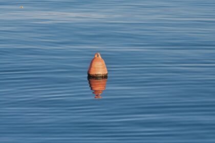 Tips for Hosting Virtual Tours and Showings in a Digital World