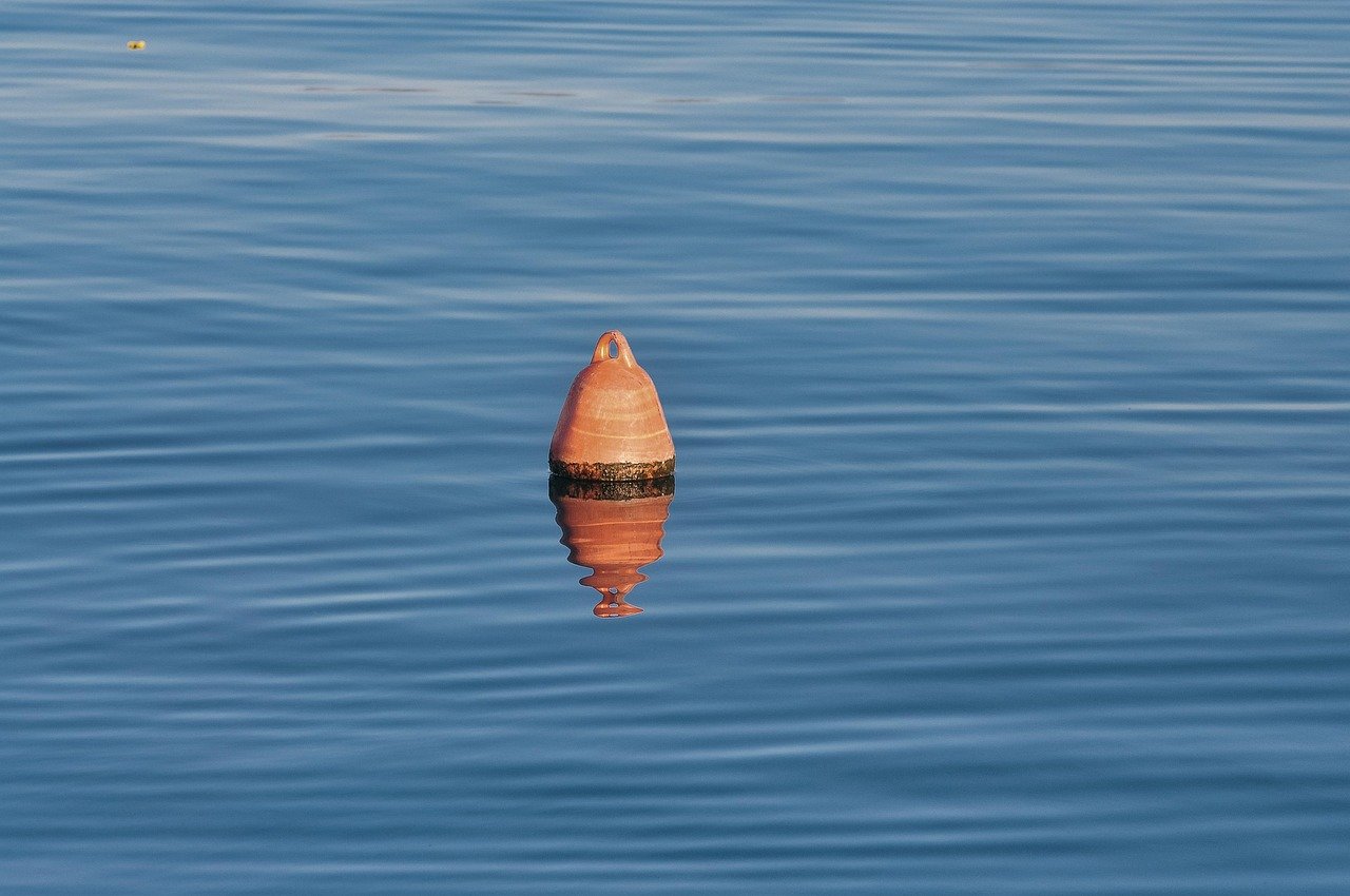 Tips for Hosting Virtual Tours and Showings in a Digital World