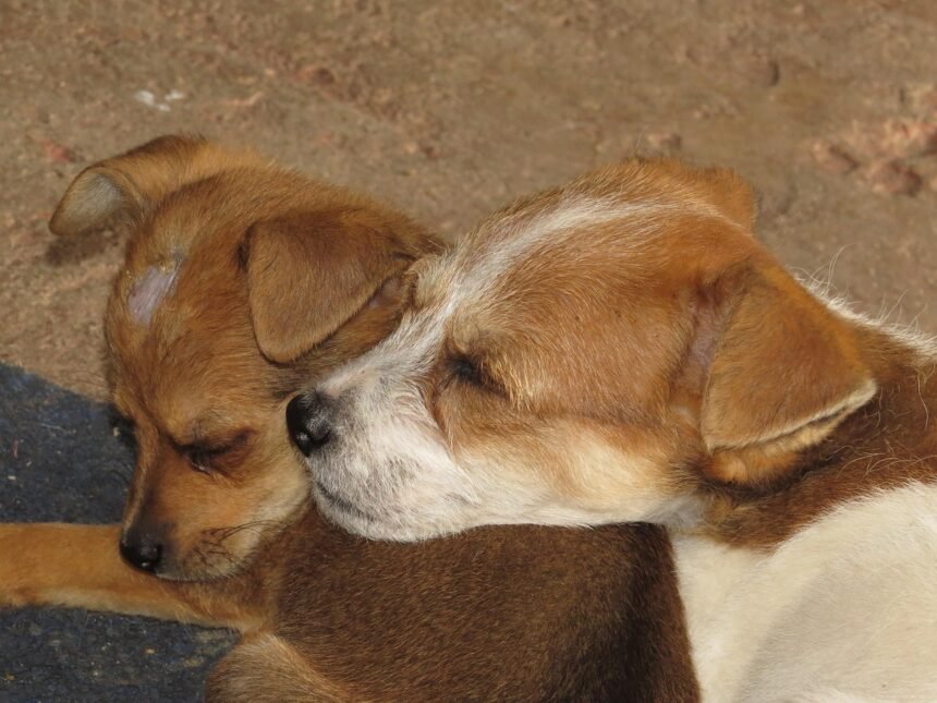 Revitalizing America's Rust Belt: New Investments in Manufacturing