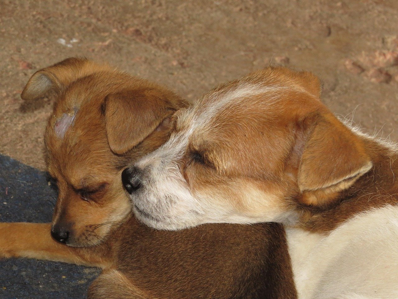 Revitalizing America's Rust Belt: New Investments in Manufacturing