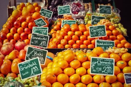 Emerging Trends in American Residential Real Estate Investments