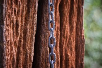 Evaluating Last-Mile Delivery Solutions to Improve Efficiency