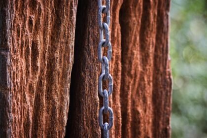 Evaluating Last-Mile Delivery Solutions to Improve Efficiency