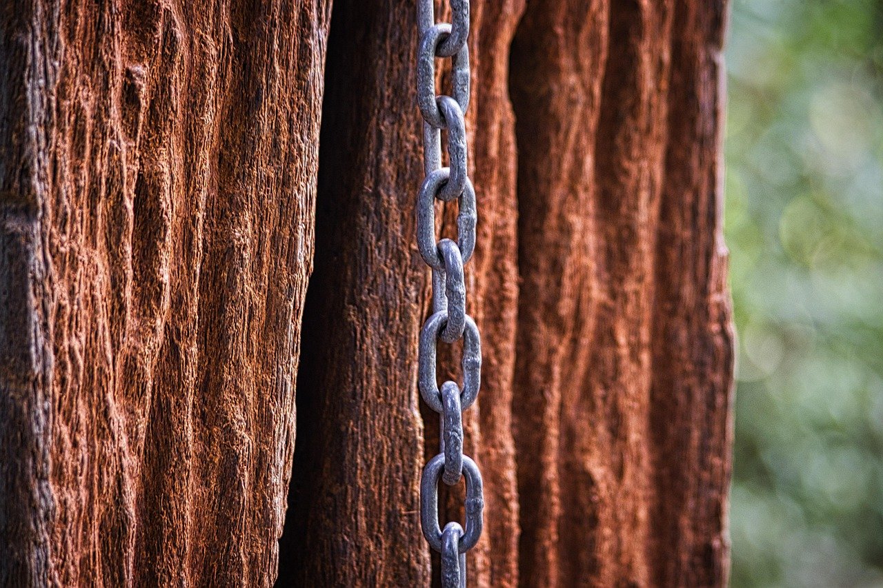 Evaluating Last-Mile Delivery Solutions to Improve Efficiency