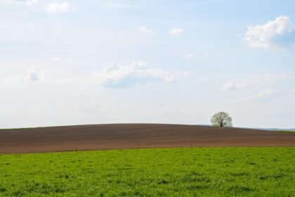 Green Communities on U.S. Islands: A Blueprint for Sustainable Development