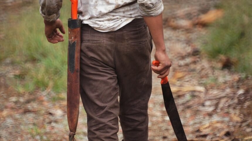 The Future of Automation in U.S. Manufacturing Facilities