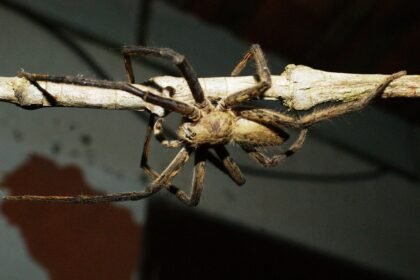 Industrial Park Real Estate: Updates on Major Expansion Projects