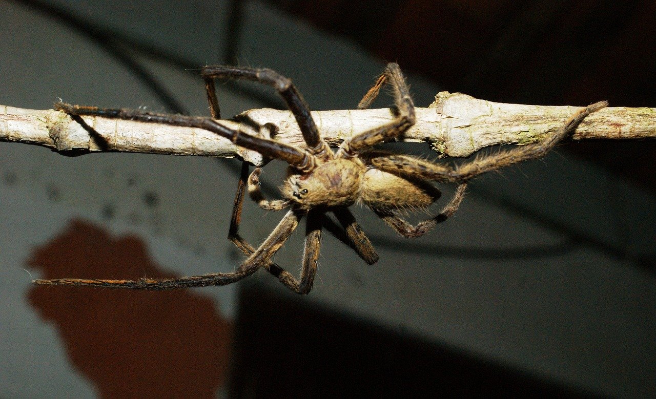 Industrial Park Real Estate: Updates on Major Expansion Projects