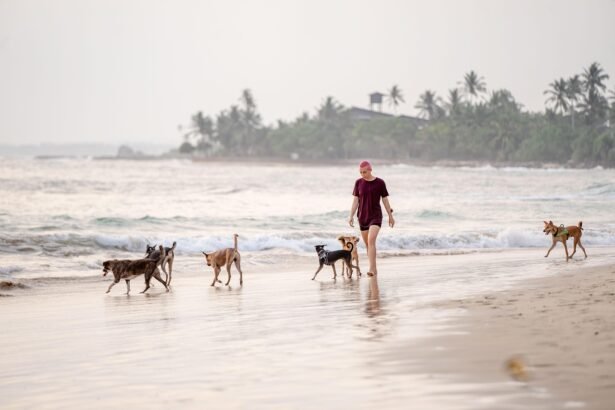 Smart Technology and Sustainability in Coastal Home Developments