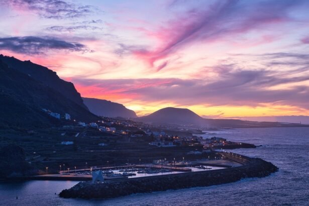 The Rise of Green Roofs in Coastal Property Developments