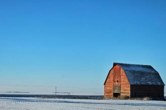 Current Trends in Warehouse Leasing Agreements in the U.S. Market