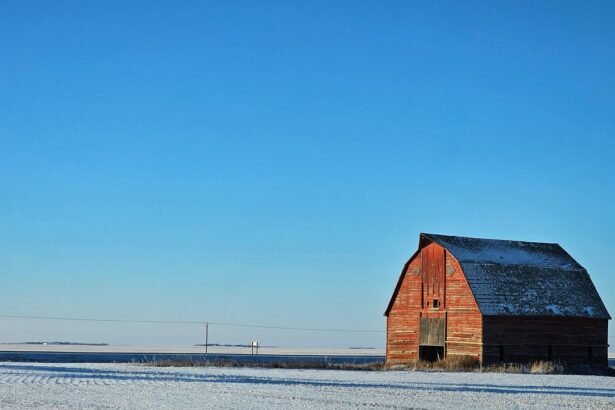 Current Trends in Warehouse Leasing Agreements in the U.S. Market