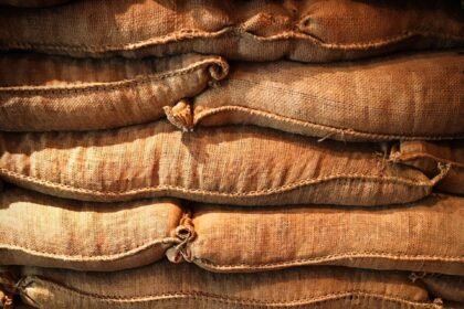 Insights into Supply Chain Disruptions and Their Effects on US Real Estate Markets