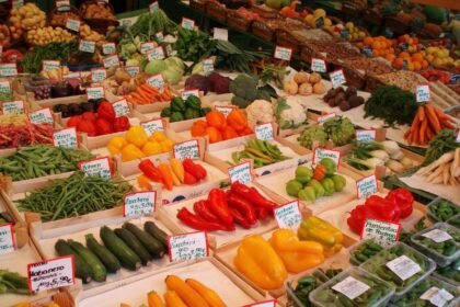 Strategies for Diversifying Your Real Estate Investment Portfolio