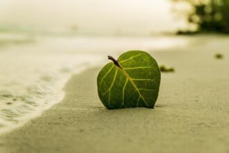 The Impact of Climate Change on Island Property Development Policies