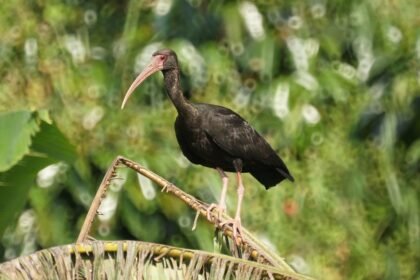 Capital Flow in U.S. Industrial Parks: Recent Investment Trends