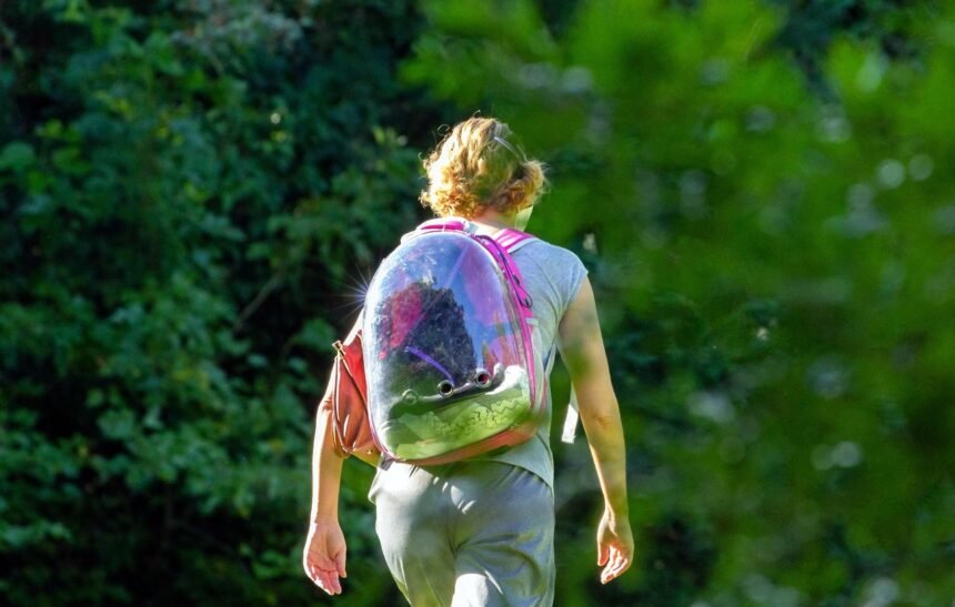 Future Outlook: How Demographics are Shaping the Student Housing Market.