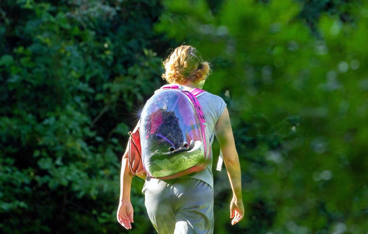 Future Outlook: How Demographics are Shaping the Student Housing Market.