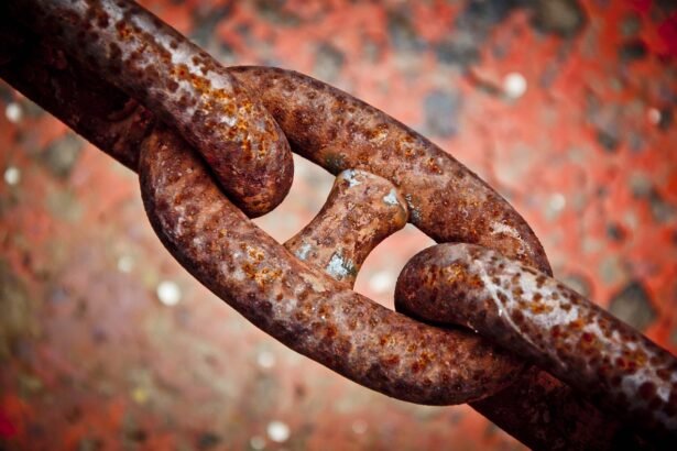 Understanding the Supply Chain Real Estate Nexus: Whitespace Opportunities