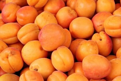 Understanding Home Appraisals: A Key to Unlocking Property Value