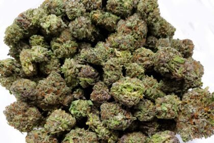 Navigating the Tax Implications of Buying and Owning Property