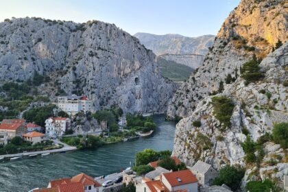 Preserving Biodiversity: Environmental Concerns in Island Construction