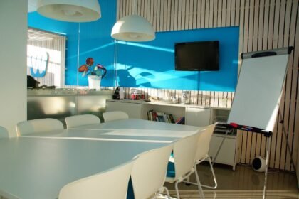 The Transformation of Malls: From Shopping Centers to Mixed-Use Developments