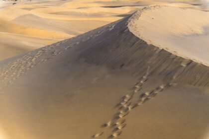 Protecting Coastal Ecosystems Through Sustainable Construction Practices