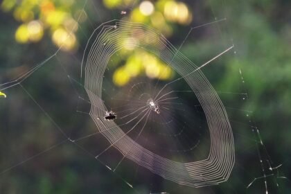 Los Angeles: A New Era for American Film and Media Production