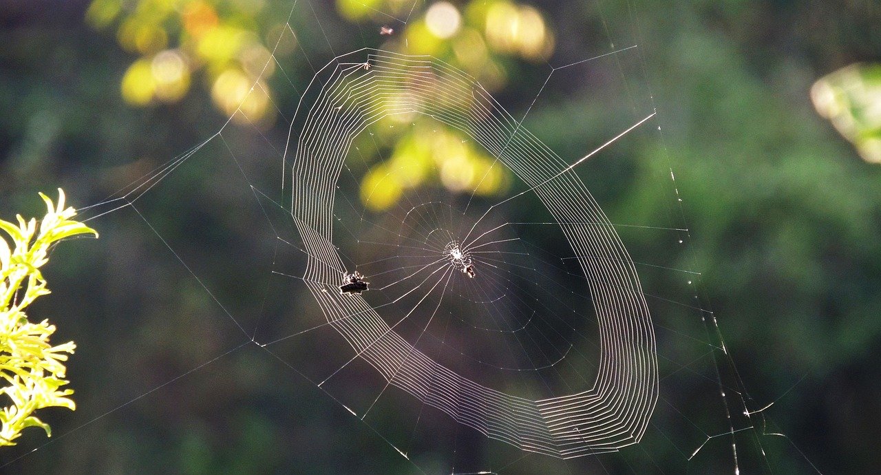 Los Angeles: A New Era for American Film and Media Production