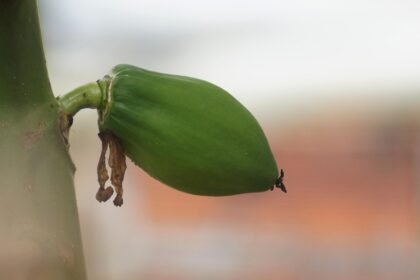 The Economic Impact of Industrial Park Growth in the U.S.