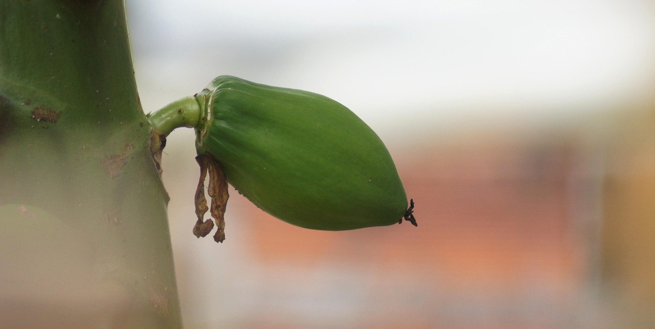 The Economic Impact of Industrial Park Growth in the U.S.