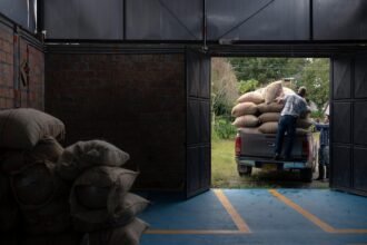 Warehouse Demand Surge: A Response to E-commerce Growth in the US Market