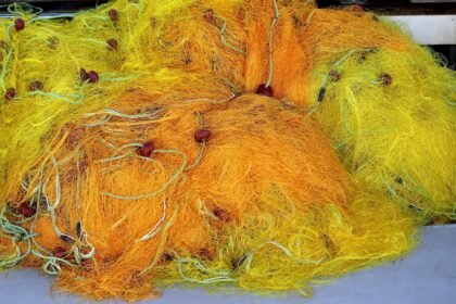 The Convergence of Corporations: Merging Powers in Real Estate