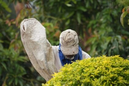 Emerging Industrial Hubs: The Growth of Manufacturing in Texas