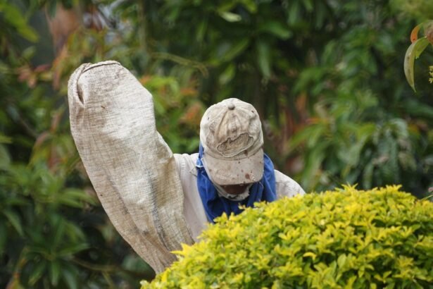 Emerging Industrial Hubs: The Growth of Manufacturing in Texas