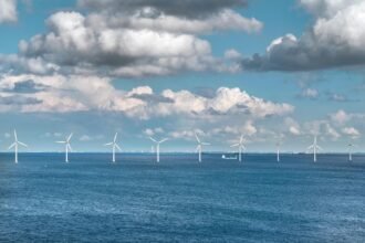 Successful Examples of Community-Led Environmental Initiatives on U.S. Islands