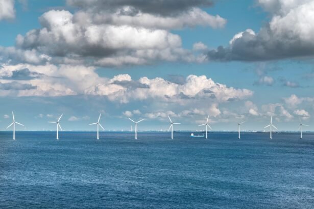 Successful Examples of Community-Led Environmental Initiatives on U.S. Islands