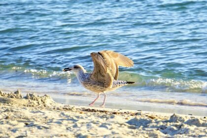 Adventure Awaits: Unique Travel Experiences on US Islands