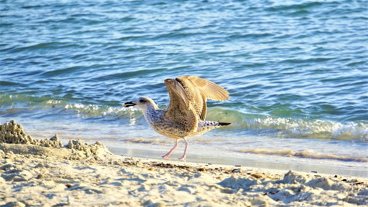 Adventure Awaits: Unique Travel Experiences on US Islands