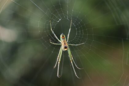 Investment Opportunities in U.S. Industrial Parks: A Comprehensive Overview